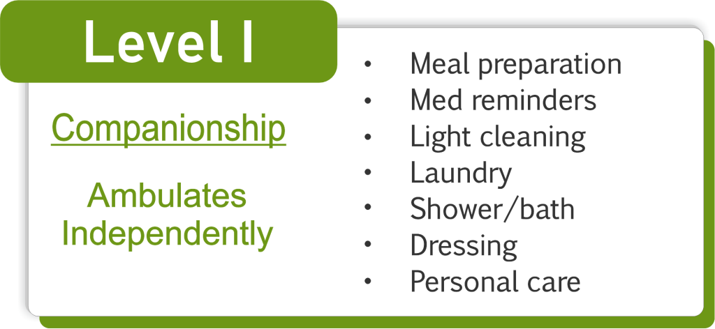 Level I: Companionship Care Plan - JAC Care at Home